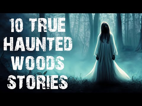 10 True Haunted Woods Scary Stories For Sleep | Disturbing Horror Stories To Fall Asleep To