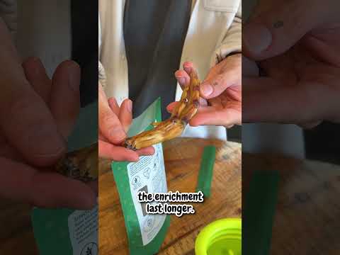 #kingloupartner Use code BKPETS for 20% off all @kingloupets treats, chews & broths! 🖤🐾 #thebkpets