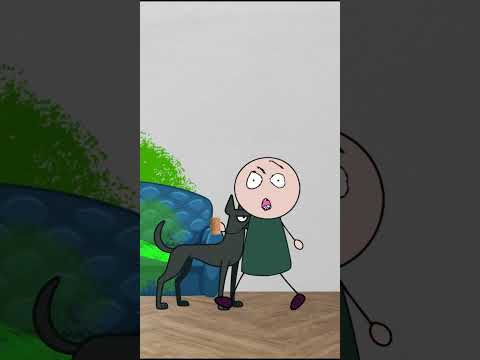 Dog ate tacos for dinner. Stickman memes video. Funny animation meme.