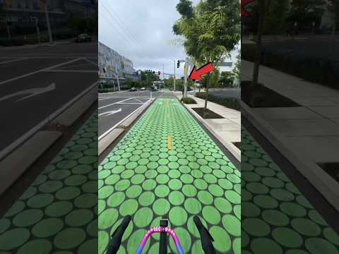 Poland's unique cycle tracks🚲//#shorts #viral