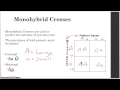 Genetics and Punnett Squares Concepts