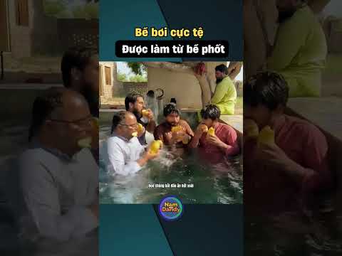 Dùng bể phốt để kinh doanh bể bơi