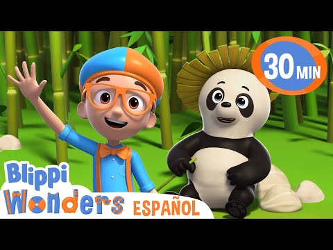 Blippi aprende sobre los pandas 🐼 Caricaturas infantiles | Moonbug en Español - Blippi Wonders