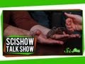 DARPA Robotics and Tarantula Facts
