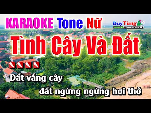 Karaoke || Tình Cây Và Đất – Tone Nữ || Nhạc Sống Duy Tùng