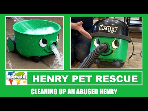 Rescuing An Abused Henry Pet Vacuum Cleaner