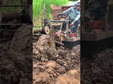 #shorts KIU 81 xe công nông 1 cầu chở gỗ qua lầy cực khỏe P4 #xeberler #shortvideo #xe_công_nông