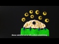 Nanotechnology and Stem Cell Applications