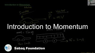Introduction to Momentum
