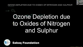 Ozone Depletion due to Oxides of Nitrogen and Sulphur