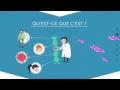 OGM: Questions et Réponses