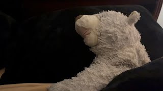 The Air Buddies: Season 2: Episode 4: Bear’s Dream