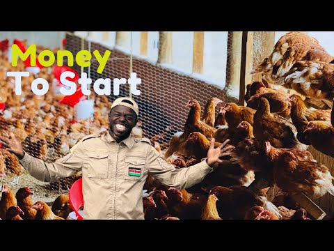 Where To Get Money To Start A Chicken Farm in 2025