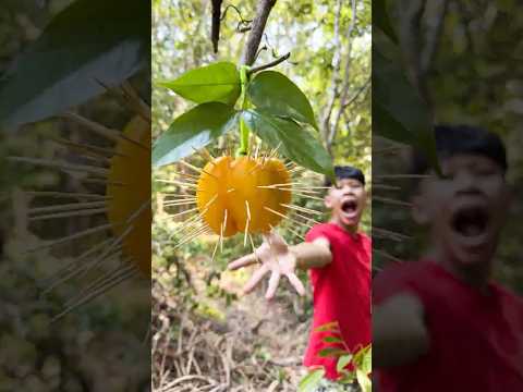 DIY Gloves Spike Hacks for Survival in the Wild