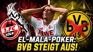 BVB steigt aus EL-MALA-POKER AUS !! 😱 RICHTIGE ENTSCHEIDUNG ? 🤔 | Reaction