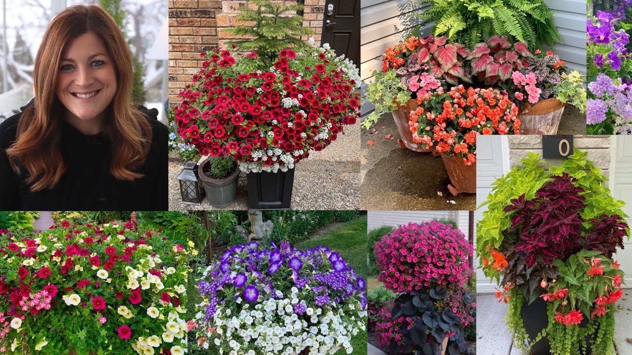 Summer Flower Combination Ideas