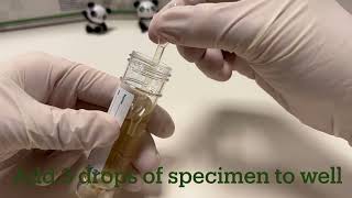 Pregnancy Rapid Test Cassette RAPG HCG U202