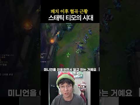 티모 티어가 오르는 이유