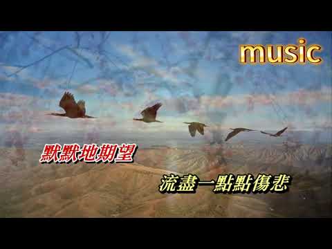 愛和夢 徐小鳳KTV 伴奏 no vocal 無人聲 music 純音樂 karaoke 卡拉OK 伴唱愛和夢 徐小鳳