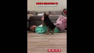 .🤯..Other skill VS Tv Moments..🤯#trollface#edit#troll#fyp#usa