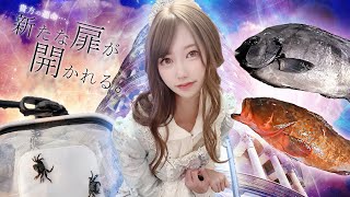 この捕り方ヤバすぎ！魚を手中に収めるためには色んな手段がないと…【055杯目】