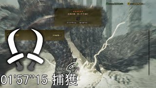【MHWilds PC】ゴア・マガラ 双剣 ソロ 捕獲 01'57''15 Gore Magala Dual Blades solo