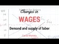 Labor Market Dynamics in Microeconomics