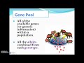 Natural Selection and Evolution Concepts
