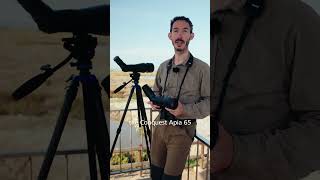 Bigger Isn’t Always Better 👀 | Javier Explains