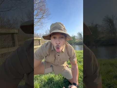 Wildlife experts