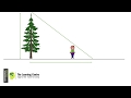 Geometry and Measurement Problems