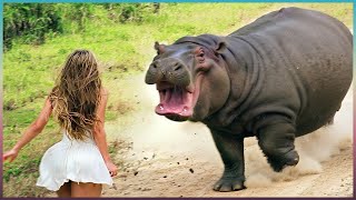 何年も経って動物が飼い主と再会した瞬間！