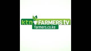 KTN Farmers TV Live stream