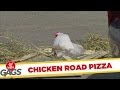 Chicken Road Pizza.