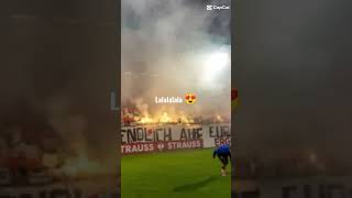 Nur die BSG ❤️🤍