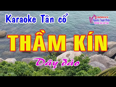 Karaoke tân cổ THẦM KÍN – DÂY ĐÀO [ Beat hay ]