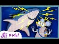 Understanding Senses and Shark Electroreception