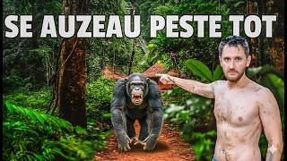 Am Dormit cu Cimpanzei în Sierra Leone:Noaptea e înfricoșătoare!