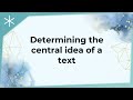 Understanding Central Ideas and Summarization