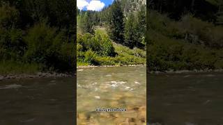 Hiking the Hoback River outside Jackson, Wyoming #nature #wyoming #travel