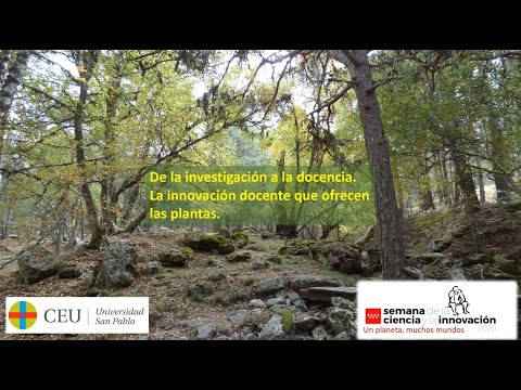 Semana-ciencia - Videos - De la investigación a la docencia. La innovación docente que ofrecen las plantas