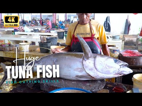 TUNA FISH CUTTING AND EATING || TRADITIONAL FISH CUTTING TECHNIQUES