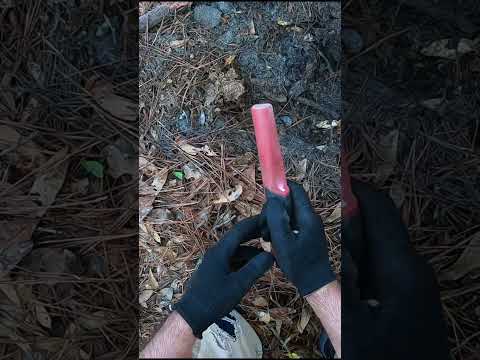 I cant believe I found this!! #metaldetecting #shorts