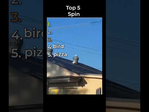 the funniest spin clip in the world