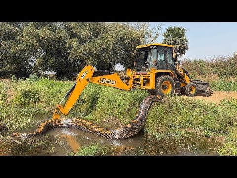 Jcb 3dx Backhoe Machine Mahindra Swaraj New Eicher Sonalika Tractor Over LoadingTrolley Truck video