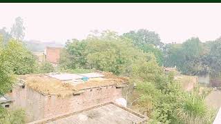 my Village