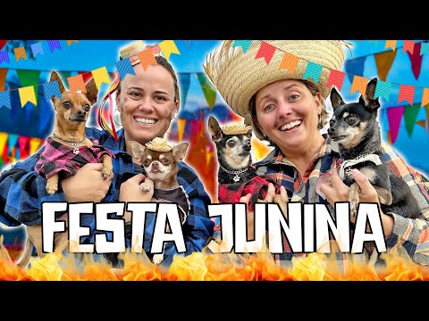 NOSSA FESTA JUNINA COM NOSSOS CACHORROS! ❤️
