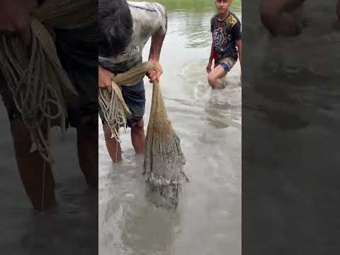 Amazing village Fishing - traditional village Fishing- Fishing with beautiful Nature