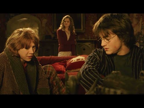 The Trio Discuss Barty Crouch Sr. | Deleted Scene | Harry Potter and the Goblet of Fire