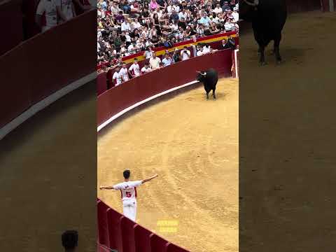 Alejandro Muñoz Y El Toro De Galache Semifinal Del Campeonato De España Valencia 2024 #shorts